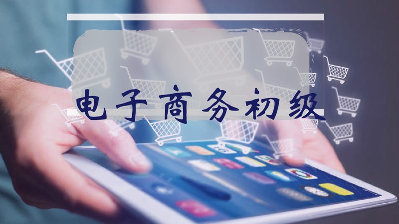shopify建站物流解决方案哪家好