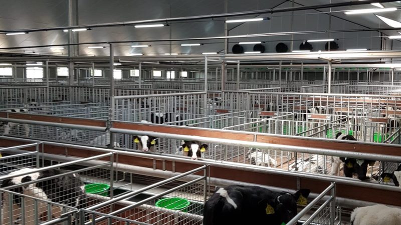 跨境电商品牌备案代理公司排名